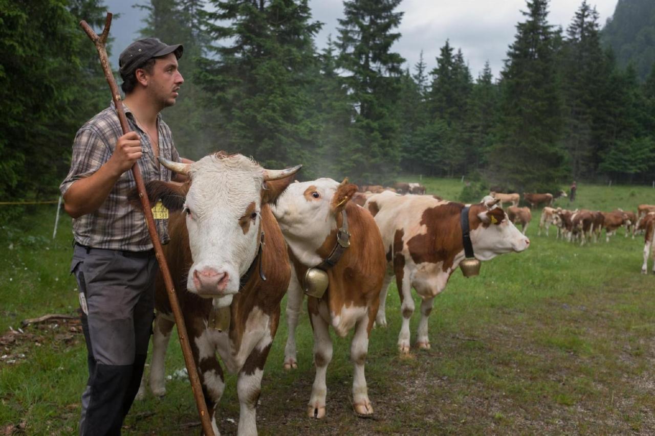 Landhaus Braun Lägenhet Mittenwald Exteriör bild